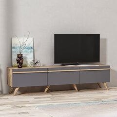 TV-taso Kalune Design 382, 180 cm, harmaa hinta ja tiedot | TV-tasot | hobbyhall.fi