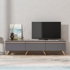 TV-taso Kalune Design 382, 180 cm, harmaa hinta ja tiedot | TV-tasot | hobbyhall.fi