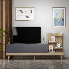 TV-taso Kalune Design 382, 180 cm, harmaa/ruskea hinta ja tiedot | TV-tasot | hobbyhall.fi