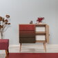 Senkki Kalune Design Dresser 3445, tammi/punainen hinta ja tiedot | Lipastot | hobbyhall.fi