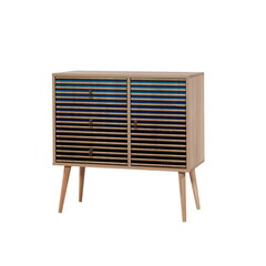 Senkki Kalune Design Dresser 3446, tammi/sininen hinta ja tiedot | Lipastot | hobbyhall.fi