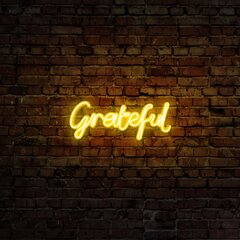 Seinävalo Grateful hinta ja tiedot | Seinävalaisimet | hobbyhall.fi