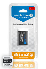 EverActive EVB004 hinta ja tiedot | Videokameran akut ja paristot | hobbyhall.fi