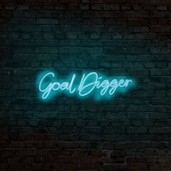 Goal Digger -seinävalaisin hinta ja tiedot | Seinävalaisimet | hobbyhall.fi