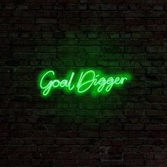 Goal Digger -seinävalaisin hinta ja tiedot | Seinävalaisimet | hobbyhall.fi