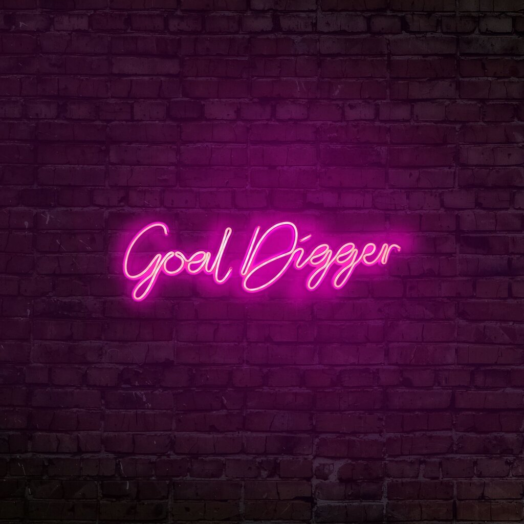 Goal Digger -seinävalaisin hinta ja tiedot | Seinävalaisimet | hobbyhall.fi