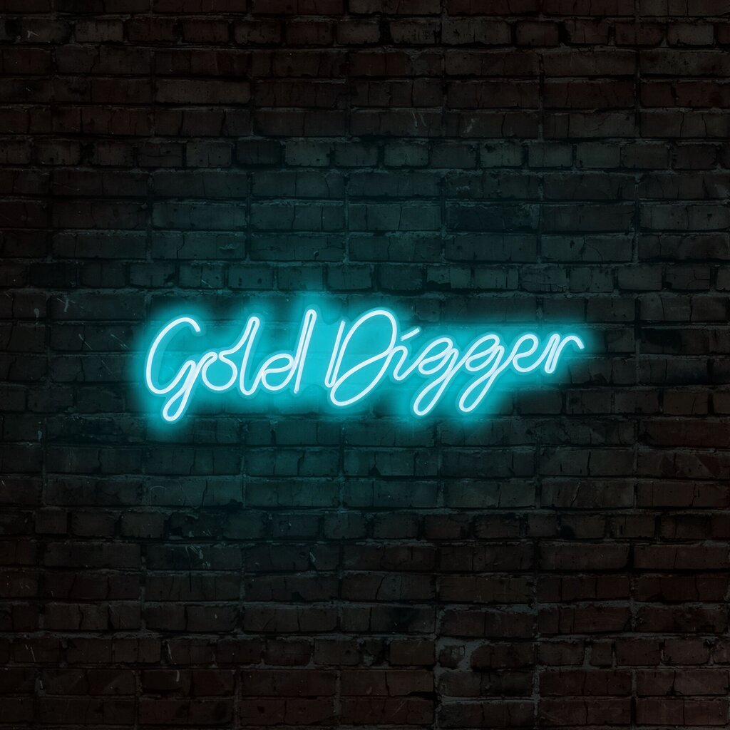 Seinävalaisin Gold Digger hinta ja tiedot | Seinävalaisimet | hobbyhall.fi