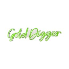 Seinävalaisin Gold Digger hinta ja tiedot | Seinävalaisimet | hobbyhall.fi