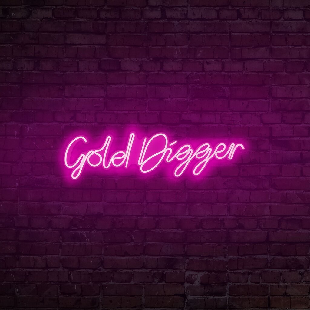 Seinävalaisin Gold Digger hinta ja tiedot | Seinävalaisimet | hobbyhall.fi