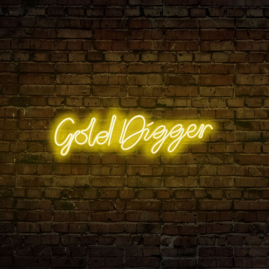 Seinävalaisin Gold Digger hinta ja tiedot | Seinävalaisimet | hobbyhall.fi