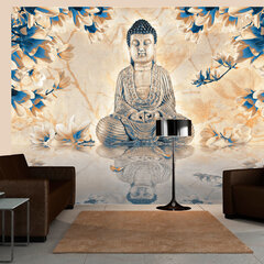 Valokuvatapetti - Buddha of prosperity 450x270 cm hinta ja tiedot | Valokuvatapetit | hobbyhall.fi