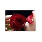 Sisustustaulu Ruusun kukka ja huulet hinta ja tiedot | Taulut | hobbyhall.fi