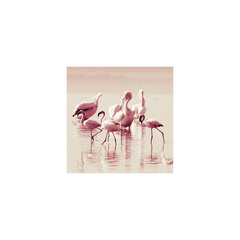 Taulu Flamingot hinta ja tiedot | Taulut | hobbyhall.fi