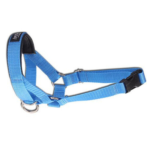 Valjaat Amiplay Halter Basic N3 Cocker spanieli, sininen, M 17-32x39-50x2 cm hinta ja tiedot | Koiran valjaat ja kaulapannat | hobbyhall.fi