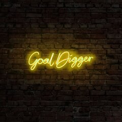Seinävalo Goal Digger hinta ja tiedot | Seinävalaisimet | hobbyhall.fi