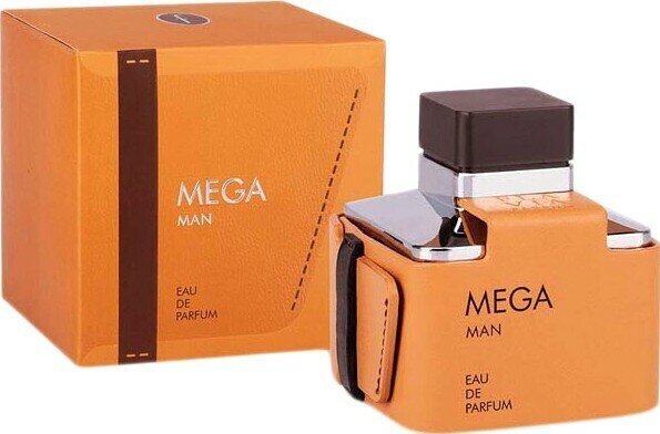 Hajuvesi miehille Flavia Men's Mega Edp, 100 ml hinta ja tiedot | Miesten hajuvedet | hobbyhall.fi