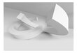 Valokuvatapetti - White Duet 250x175 cm hinta ja tiedot | Valokuvatapetit | hobbyhall.fi