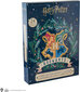 Harry Potter Advent Calendar hinta ja tiedot | Pelien oheistuotteet | hobbyhall.fi