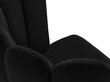 Tuolisarja Cosmopolitan Design Evora, musta, 2 tuolia hinta ja tiedot | Ruokapöydän tuolit | hobbyhall.fi