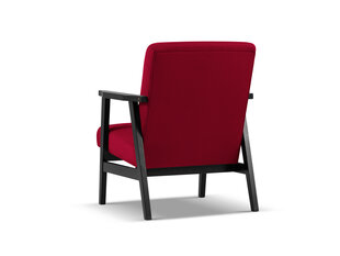 Nojatuoli Cosmopolitan Design Fano, punainen/musta hinta ja tiedot | Nojatuolit | hobbyhall.fi