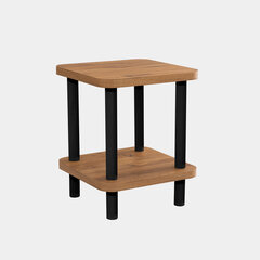 Sivupöytä Asir, 35x43,7x35cm, ruskea ja musta hinta ja tiedot | Sohvapöydät | hobbyhall.fi