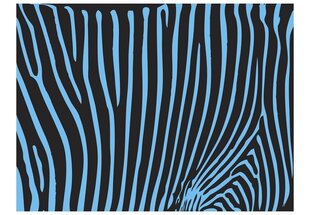 Valokuvatapetti - Zebra pattern (turquoise) 250x193 cm hinta ja tiedot | Valokuvatapetit | hobbyhall.fi