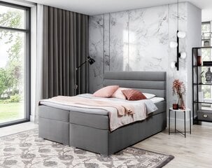 Sänky Softy, 160x200 cm, harmaa hinta ja tiedot | Sängyt | hobbyhall.fi