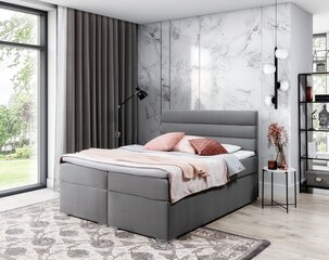 Sänky Softy, 180x200 cm, harmaa hinta ja tiedot | Sängyt | hobbyhall.fi