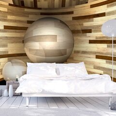 Valokuvatapetti - Wooden orbit 250x175 cm hinta ja tiedot | Valokuvatapetit | hobbyhall.fi