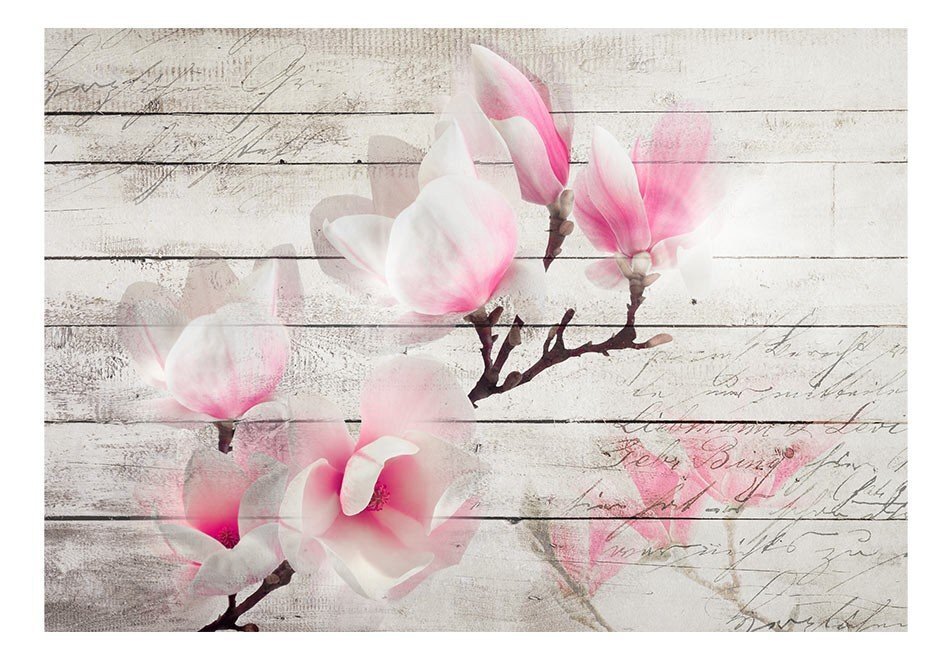 Valokuvatapetti - Gentleness of the Magnolia 400x280 cm hinta ja tiedot | Valokuvatapetit | hobbyhall.fi