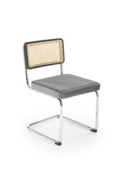 2-tuolin setti K524, harmaa/hopea hinta ja tiedot | Ruokapöydän tuolit | hobbyhall.fi