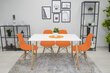 Tuolit Osaka, oranssi/ruskea, 2 kpl hinta ja tiedot | Ruokapöydän tuolit | hobbyhall.fi