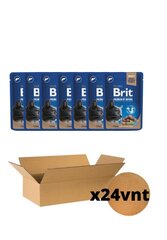 Märkäruoka steriloiduille kissoille Brit Premium Liver, 24 x 100 g hinta ja tiedot | Kissanruoka | hobbyhall.fi