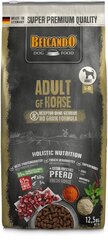 Belcando Adult GF Horse kuivaruoka aikuisille koirille, hevosenlihaa 12,5 kg hinta ja tiedot | Koiran kuivaruoka | hobbyhall.fi