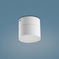 Kattovalaisin TK Lighting Space 3390 hinta ja tiedot | Kattovalaisimet | hobbyhall.fi