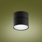 Kattovalaisin TK Lighting Space 3398 hinta ja tiedot | Kattovalaisimet | hobbyhall.fi