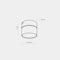 Kattovalaisin TK Lighting Space 3398 hinta ja tiedot | Kattovalaisimet | hobbyhall.fi