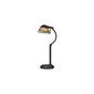 Seinävalaisin Elstead Lighting Whitney QZ-WHITNEY-TL hinta ja tiedot | Pöytävalaisimet | hobbyhall.fi