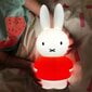 Lasten yövalaisin Miffy, valkoinen hinta ja tiedot | Lastenhuoneen valaisimet | hobbyhall.fi