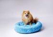 Koiran peti Go Gift Shaggy, eri kokoja, sininen hinta ja tiedot | Pedit ja pesät | hobbyhall.fi