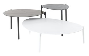 COFFE TABLE ISLA 3ELEMENTS 46X53XH47CM ANTRACITE, 58X72XH38CM COFFE,79X109XH29CM WHITE ALUMINIUM hinta ja tiedot | Sohvapöydät | hobbyhall.fi