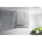 Electrolux LNS8FF19S hinta ja tiedot | Jääkaapit | hobbyhall.fi