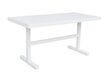 TABLE ELBA LUNCH 144X73X70CM ALU WHITE MAT hinta ja tiedot | Puutarhapöydät | hobbyhall.fi
