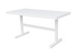 TABLE ELBA LUNCH 144X73X70CM ALU WHITE MAT hinta ja tiedot | Puutarhapöydät | hobbyhall.fi