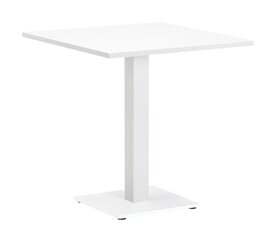TABLE BISTRO FARO 70X80X74CM ALU WHITE MAT AW 324049 hinta ja tiedot | Ruokapöydät | hobbyhall.fi