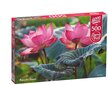 Palapeli CherryPazzi Pink Lotus Flowers, 500 palaa hinta ja tiedot | Palapelit | hobbyhall.fi
