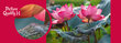 Palapeli CherryPazzi Pink Lotus Flowers, 500 palaa hinta ja tiedot | Palapelit | hobbyhall.fi