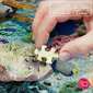 Palapeli CherryPazzi Living Reef, 500 palaa hinta ja tiedot | Palapelit | hobbyhall.fi