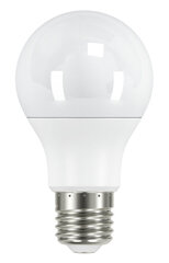 LED-lamppu Airam Sauna A61 828 hinta ja tiedot | Upotettavat valaisimet ja LED-valaisimet | hobbyhall.fi