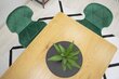 3 tuolin setti Nest, vihreä hinta ja tiedot | Ruokapöydän tuolit | hobbyhall.fi